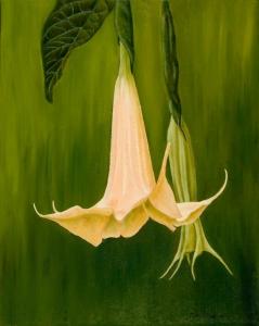 Angel Trumpet