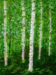 Birch Thicket