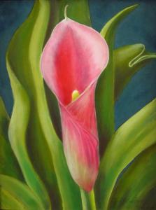 Calla Lily #9