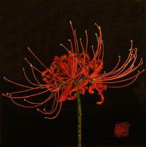 Red Spider Lily