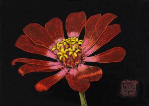 Red Zinnia